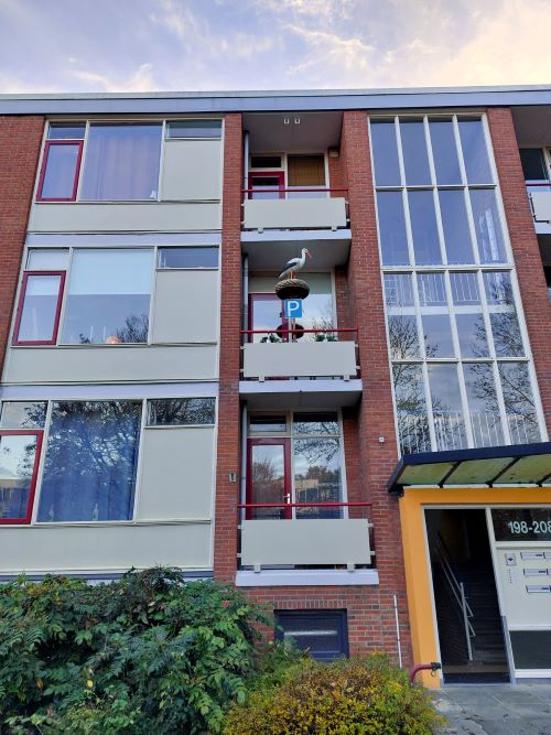 Ooievaar op nest met ei t.b.v. Balkon - Afbeelding 2